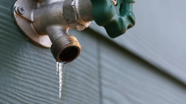Shower Repair Services in Longmont, CO